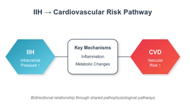 IIH and CVD Risk Pathway